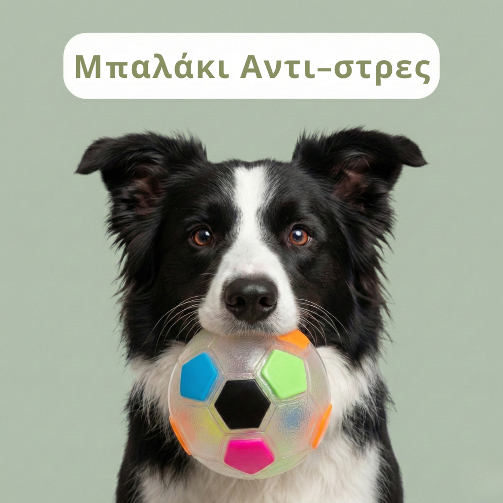 Ο Χώρος των Σκύλων