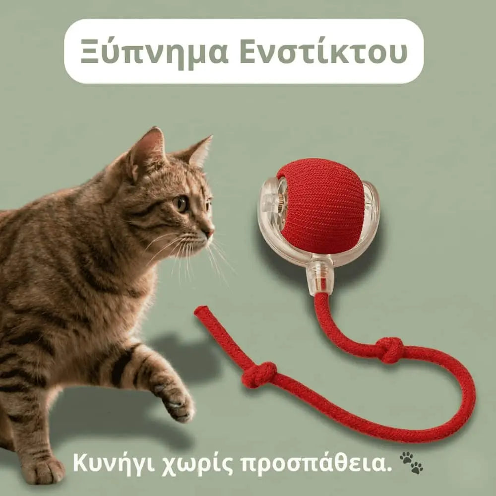 ActiveBall Pro — Ξυπνήστε το ένστικτό της, χωρίς να κουνήσετε δάχτυλο.